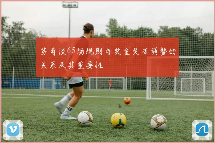 芬奇谈65场规则与奖金灵活调整的关系及其重要性